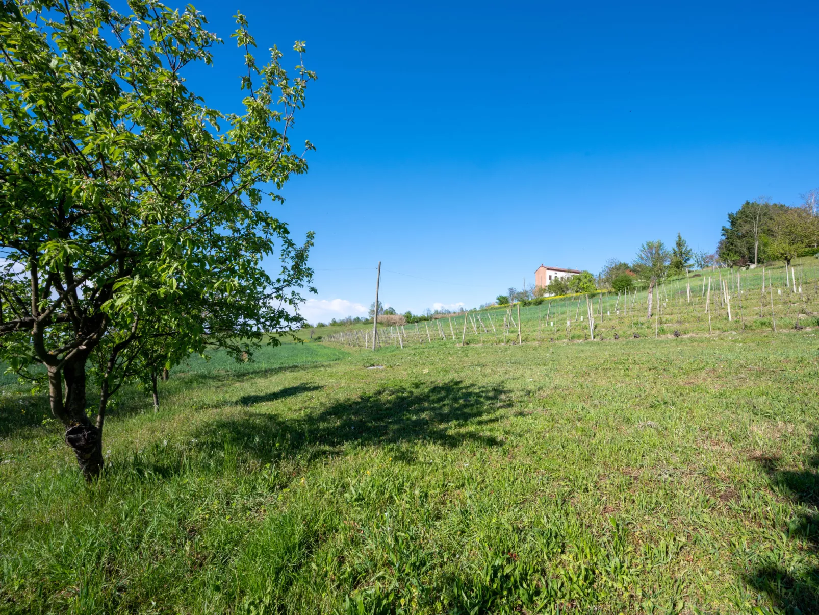 Raggio di Sole-Outside