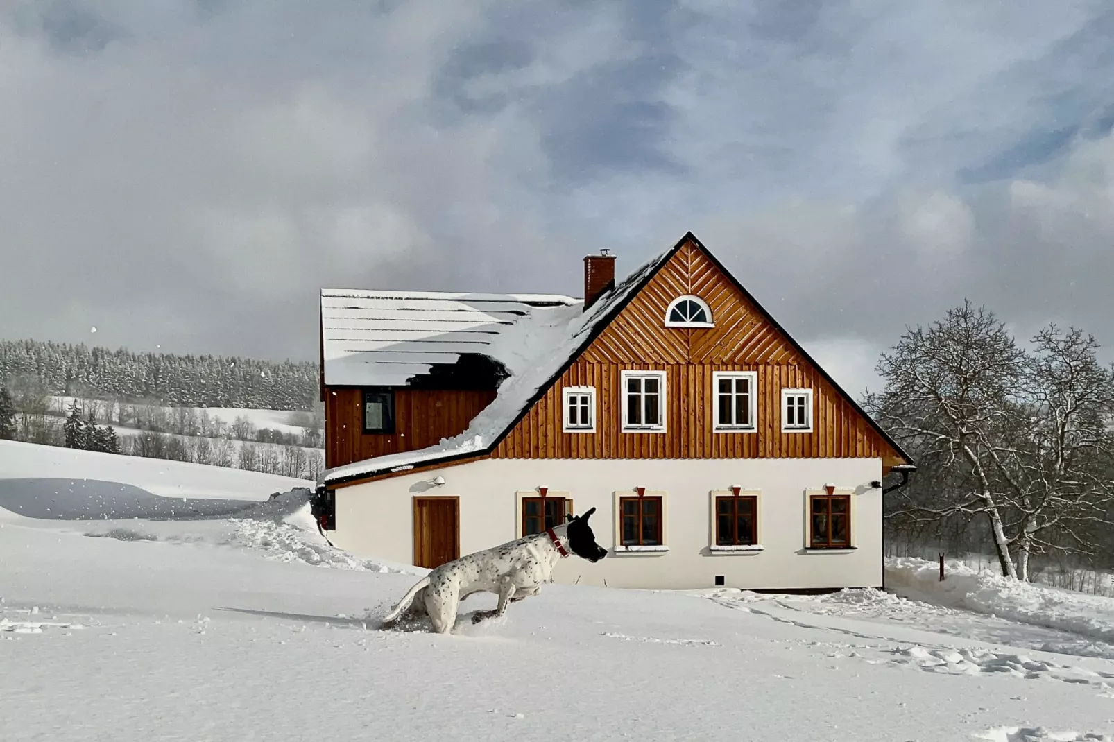 Víchová nad Jizerou LVV033-Außenbereich