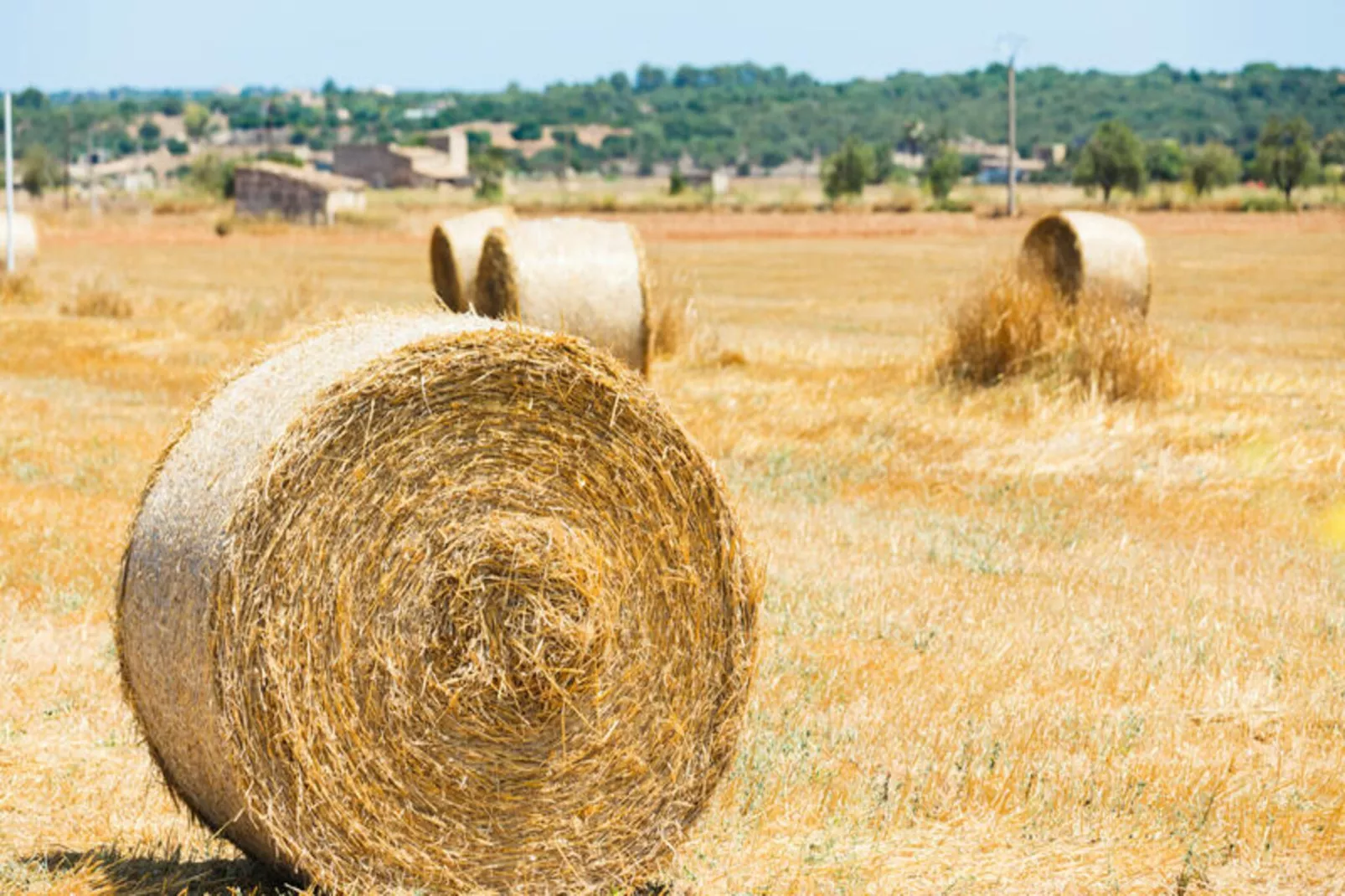 Maison à Sineu-Image-tags.