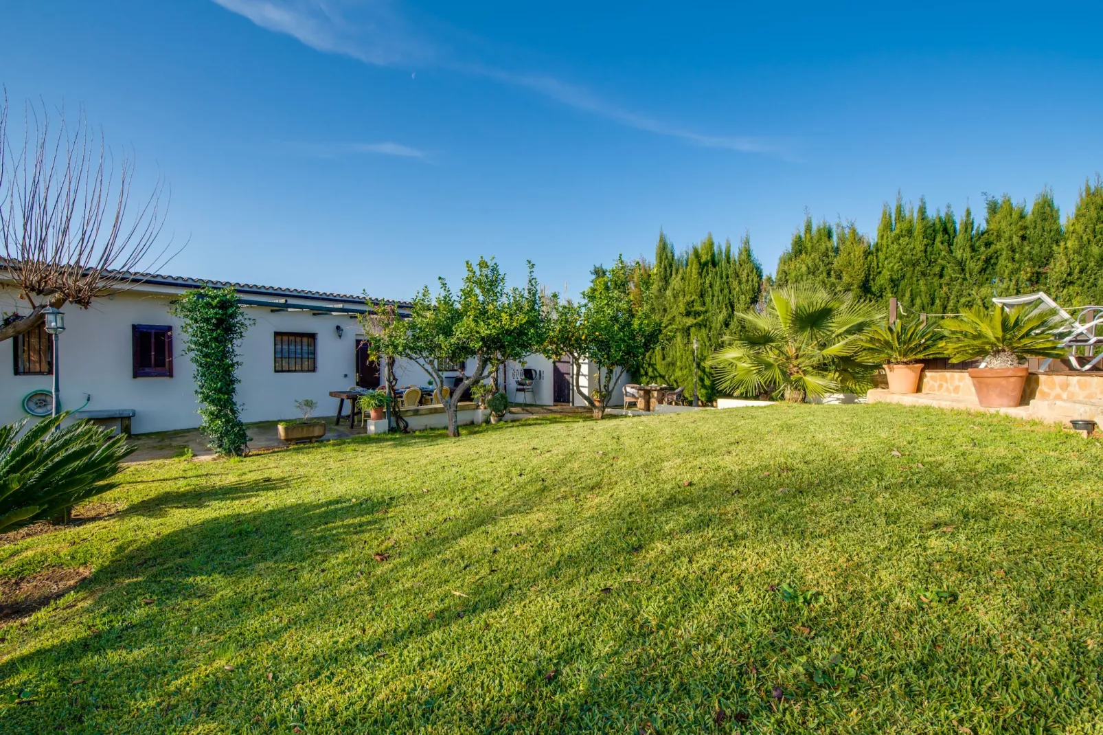Sa Vinya Vella-Outdoor