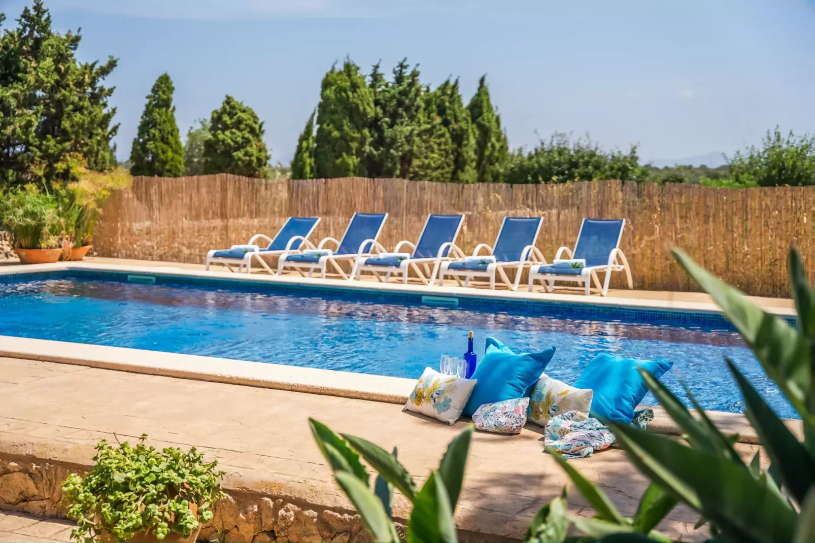 Can Ribas-View summer