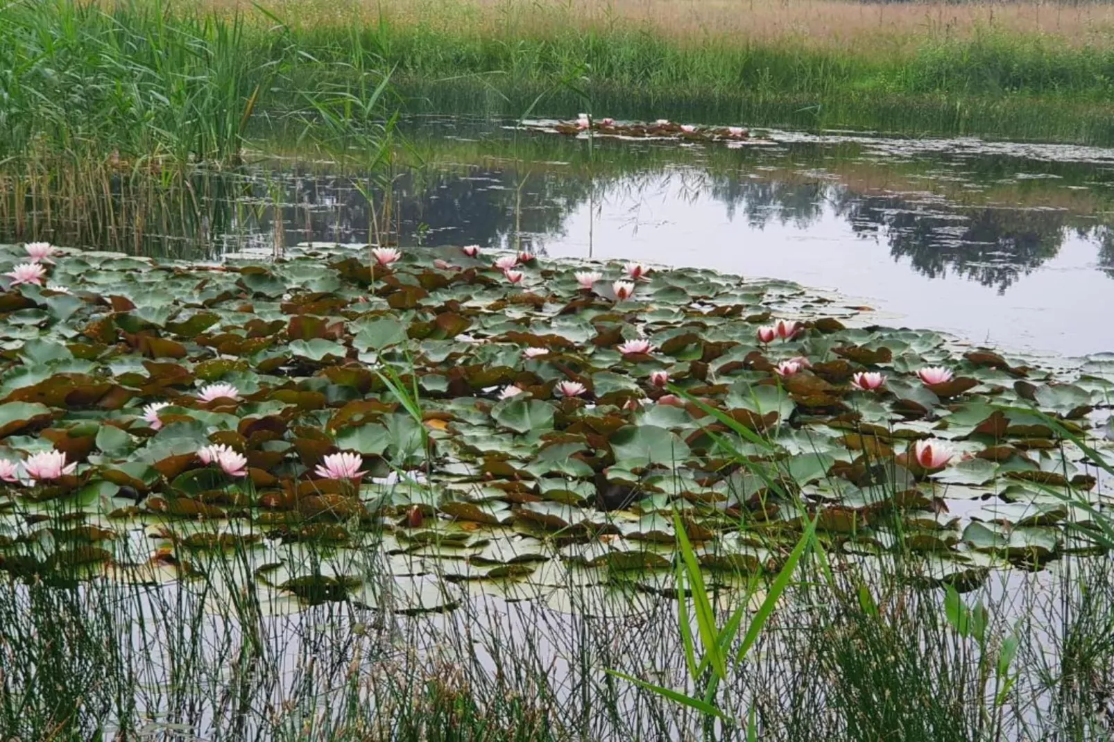 De oude stal-Gebiete Sommer 20 km