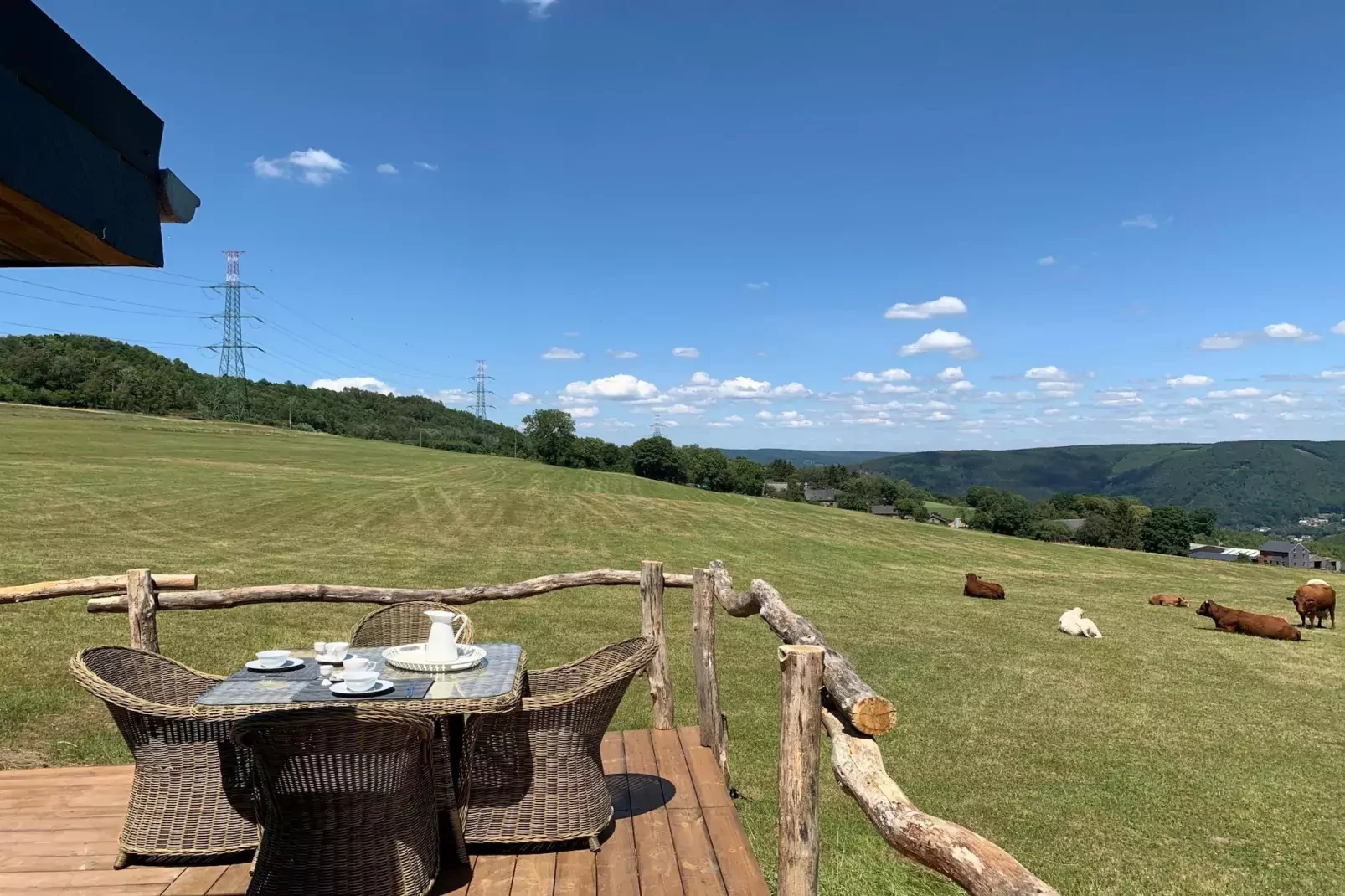Chalet Bulle-View summer