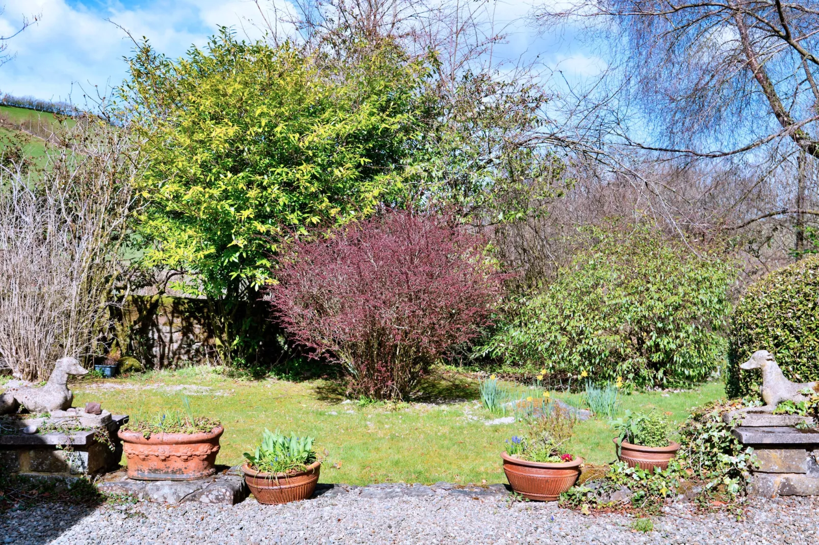 Cwmfron House-Gardens summer