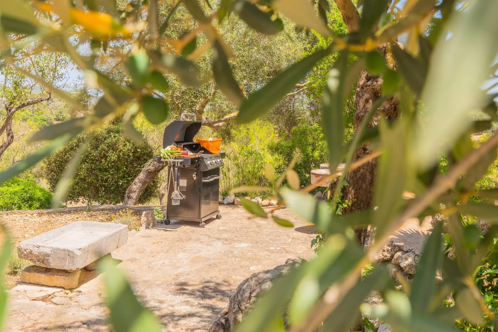 Hortella (ecofinca)-Ambiente