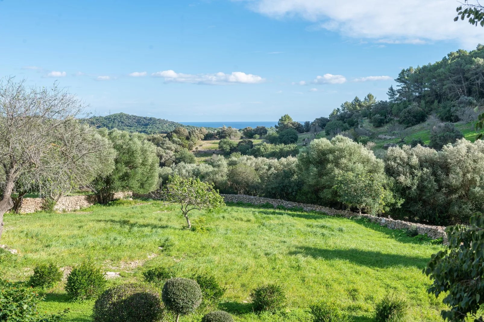 Son EsquerrÀ-Zones d'été à 1 km