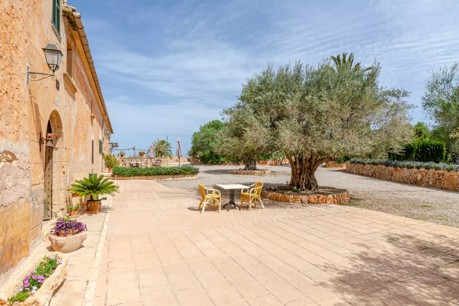 YourHouse Son Sala Agroturismo Na gual doble-Terrasse