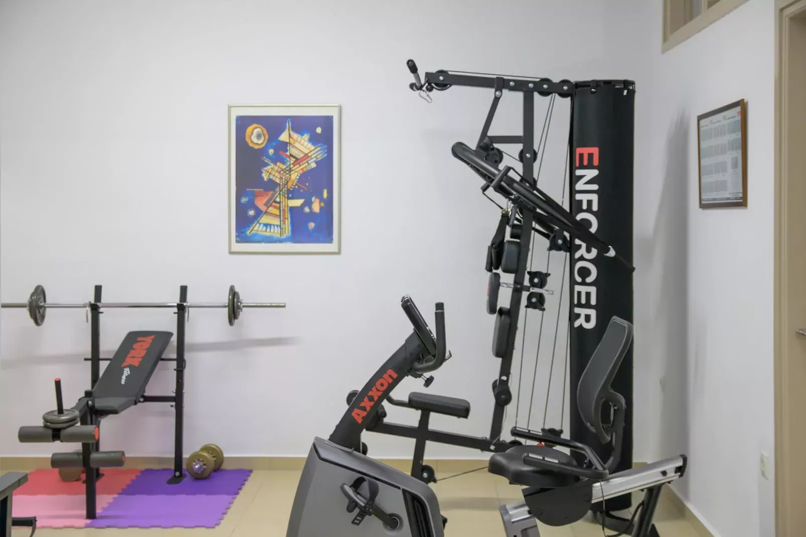 Manuel's Dream-Gym
