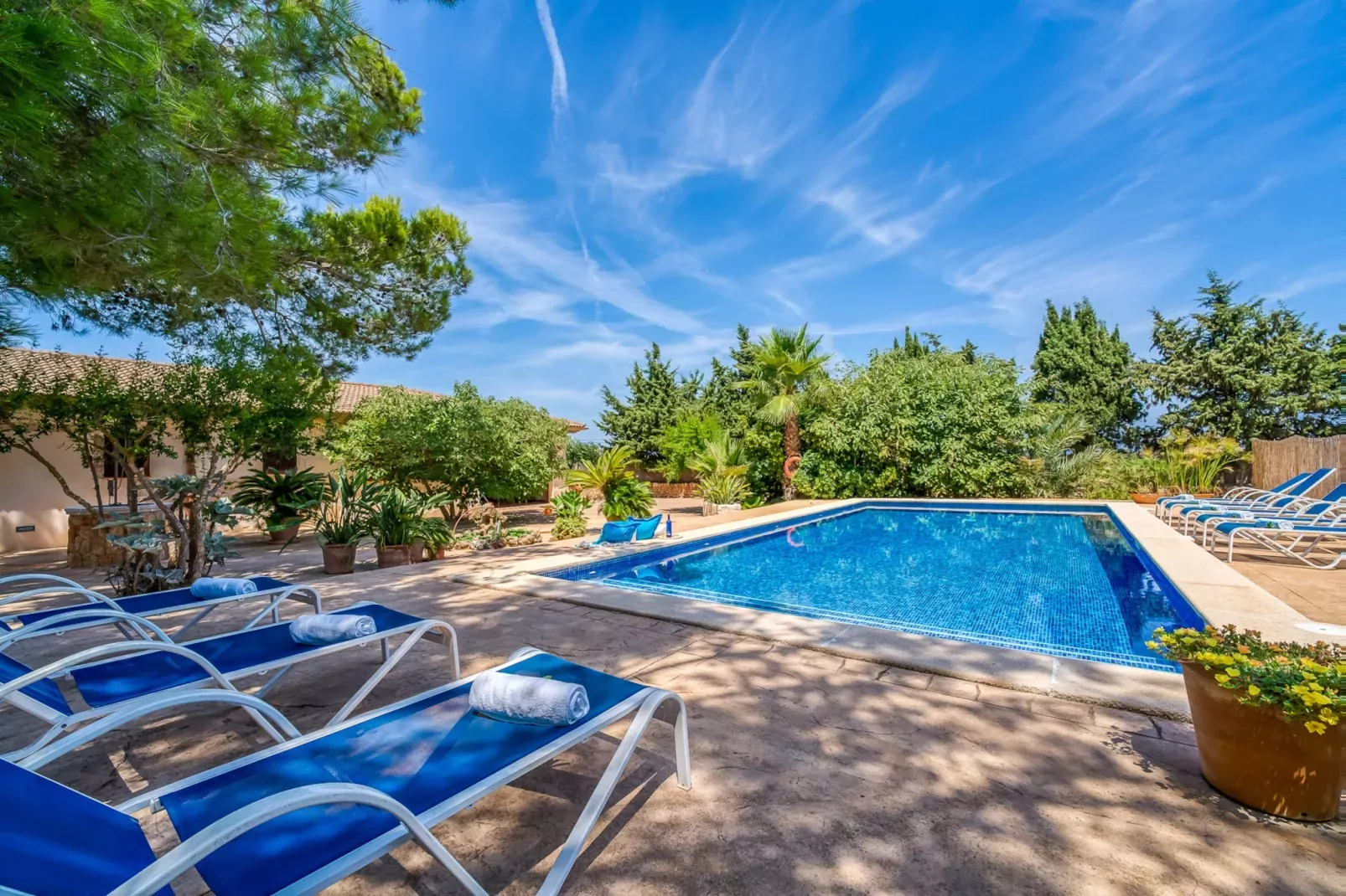Can Ribas-Areas summer 1km