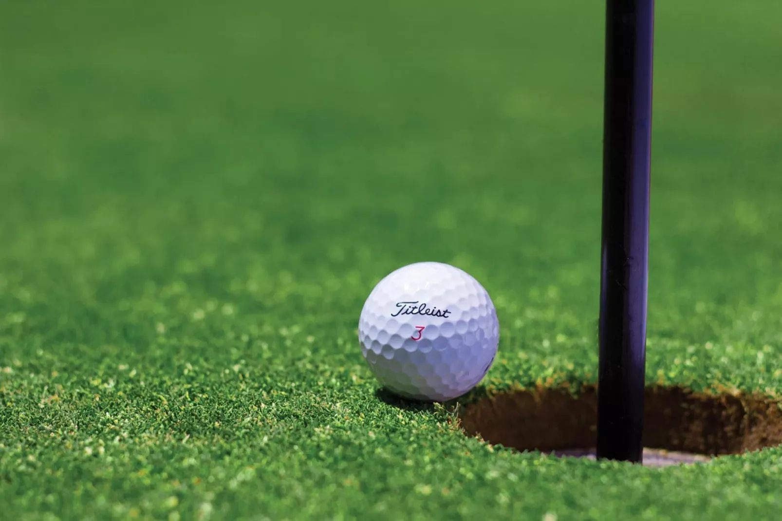 Bilocale vista Golf 102-Gebiete Sommer 1 km