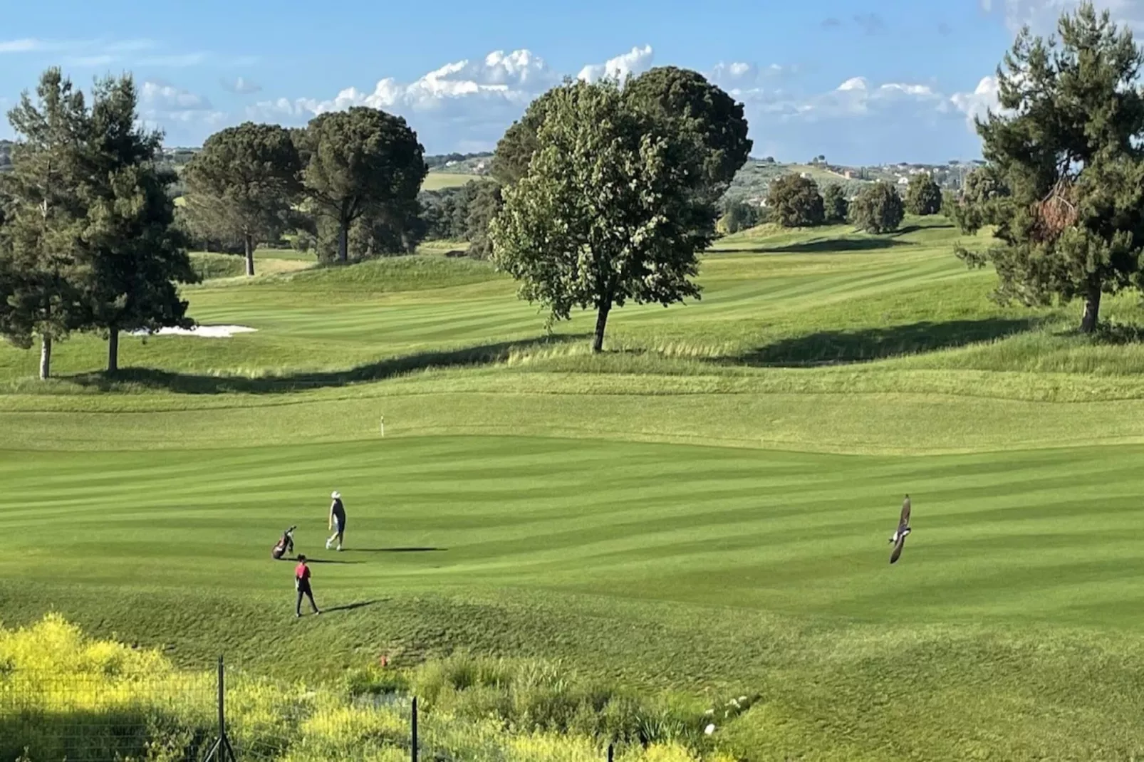 Bilocale vista Golf 120-Gebiete Sommer 1 km