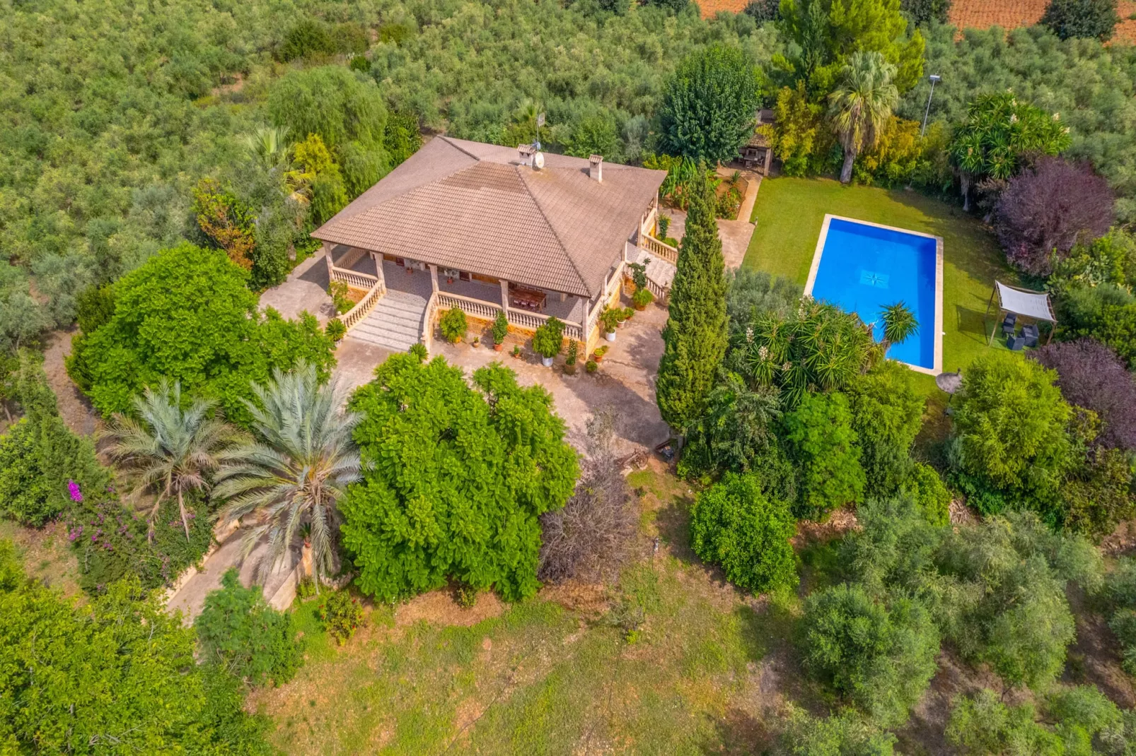 Dofi Blau, Villa 5StarsHome Mallorca-Outdoor