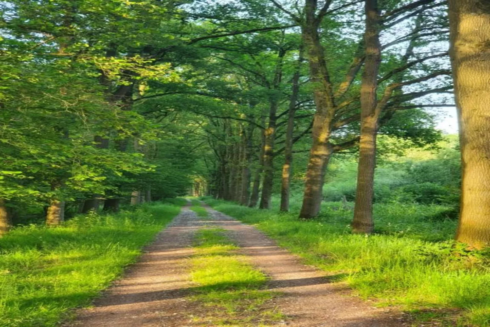 De oude stal-Gebiete Sommer 20 km