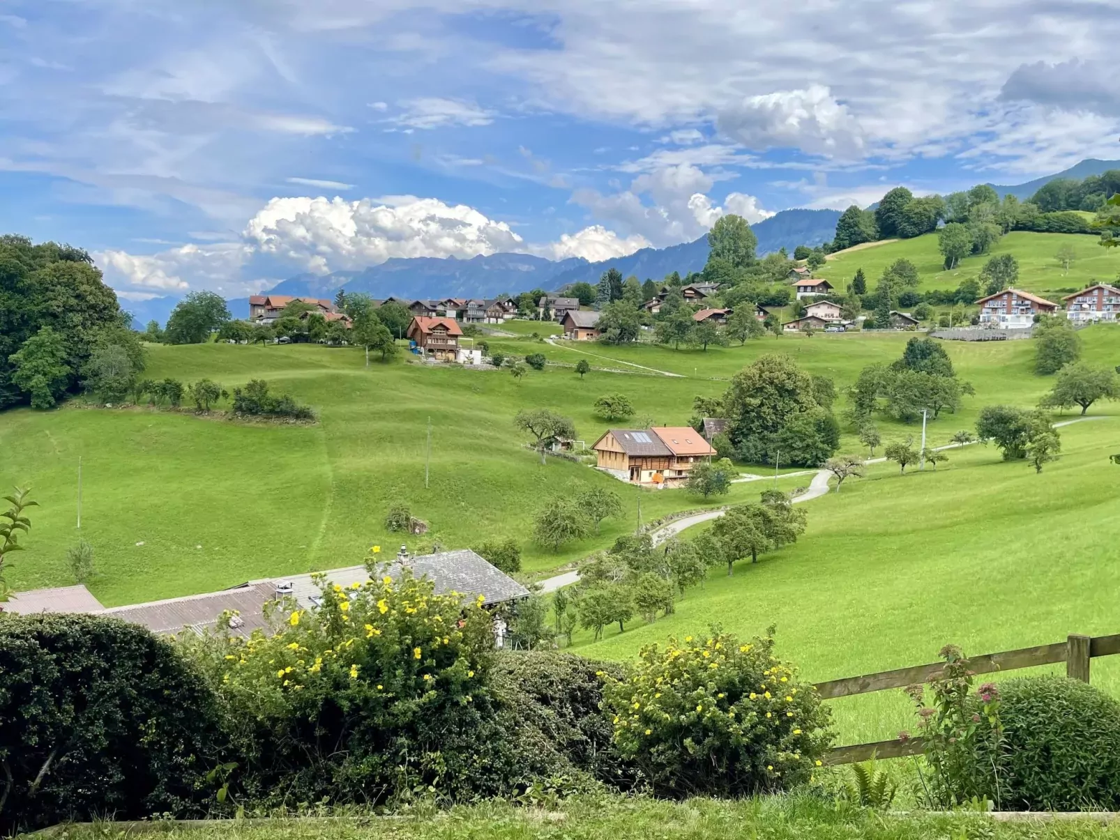 Panoramaferienwohnung Waldkircher-Draußen