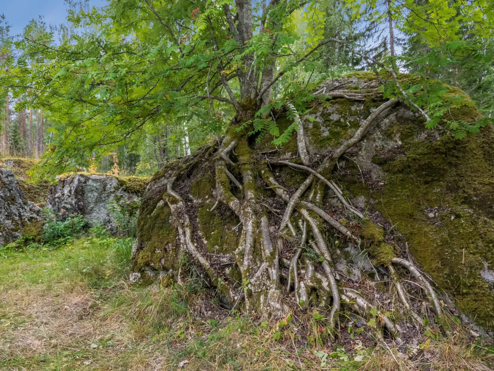 Hiidenlinna-Outside