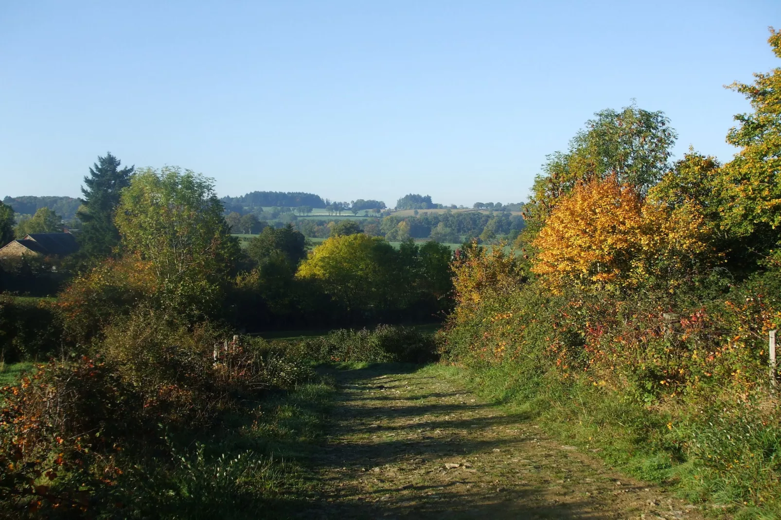 Le Dauphin bleu-Areas summer 5km