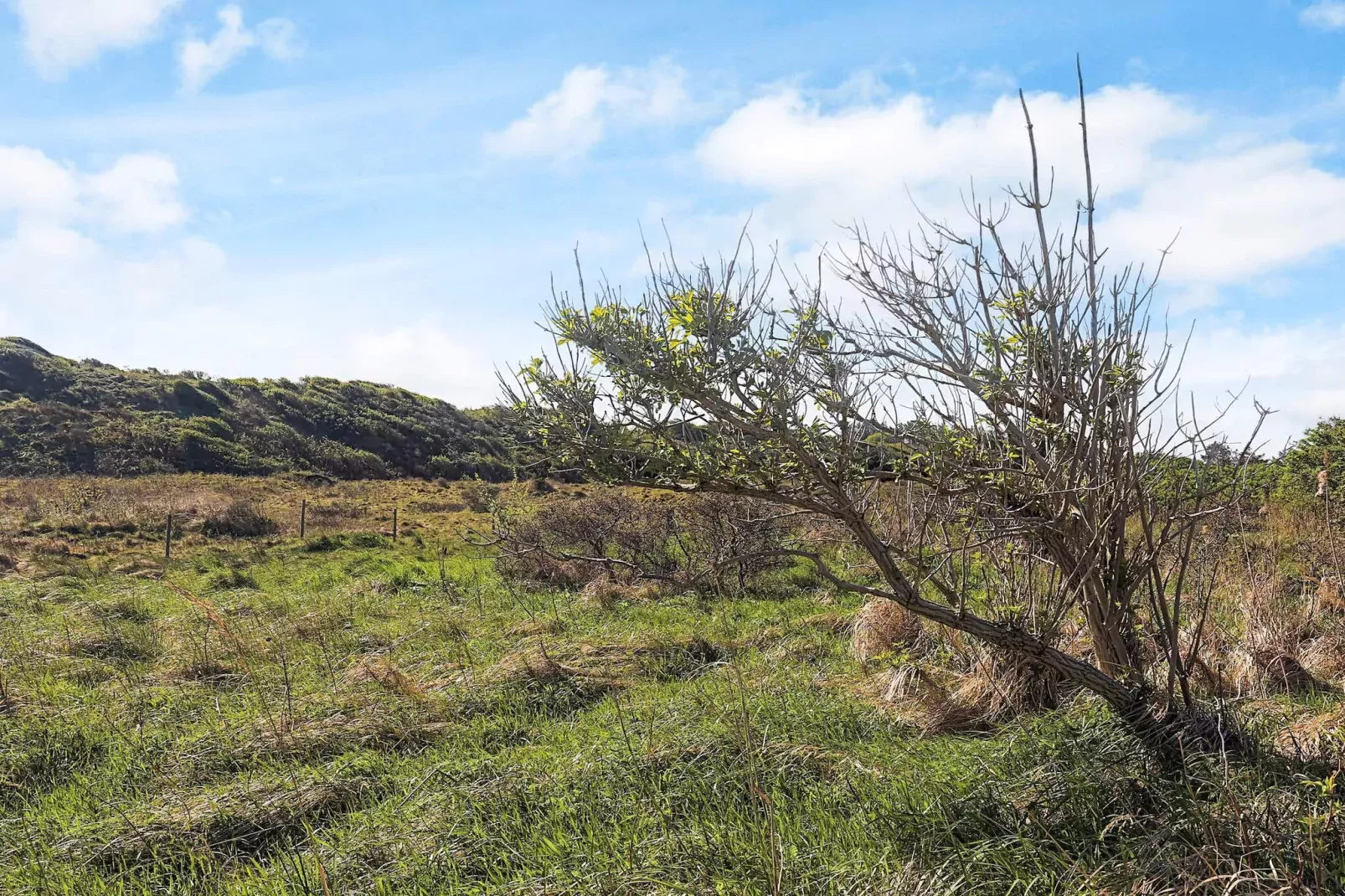 6 Personen Ferienhaus in Hjørring-Aussicht