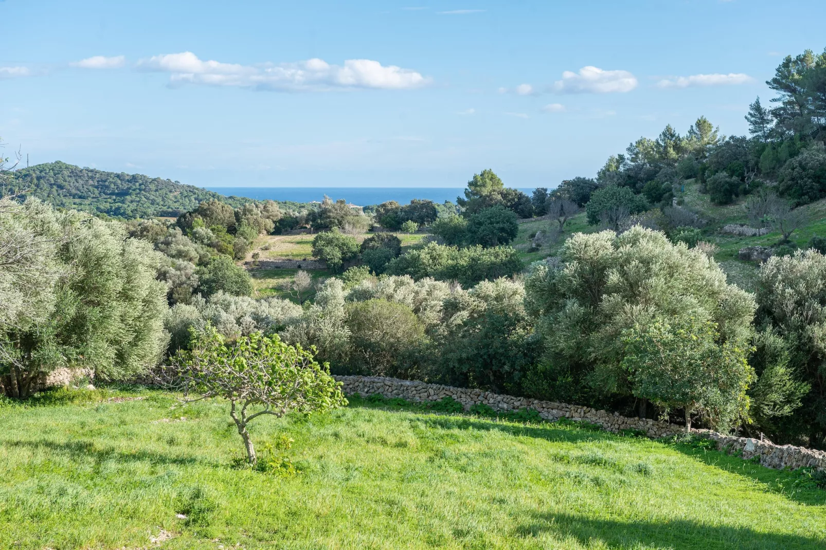 Son EsquerrÀ-Zones d'été à 5 km