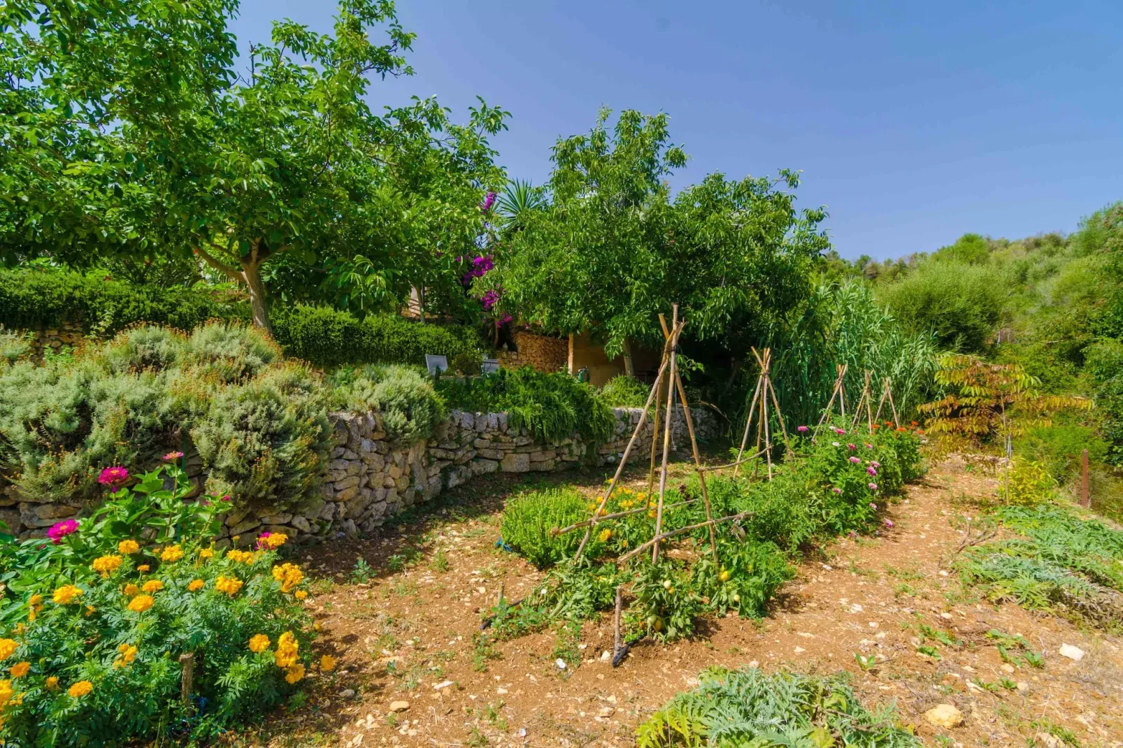 Ses Pedres - Garten Sommer