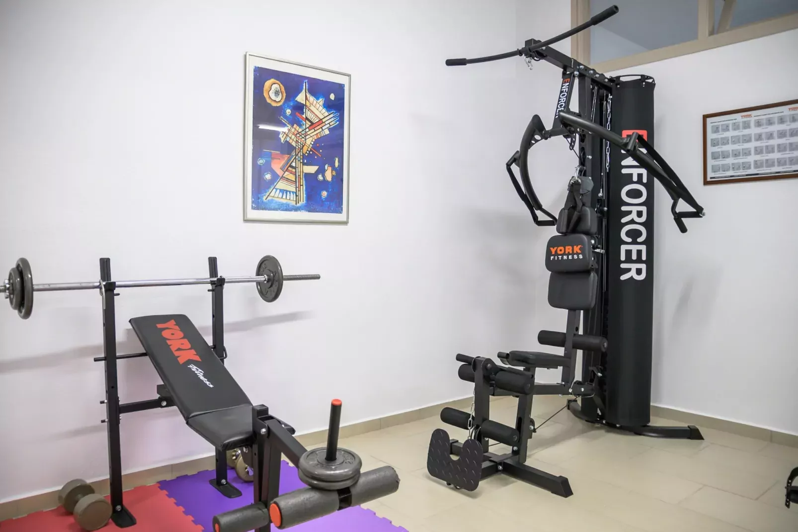 Manuel's Dream-Gym