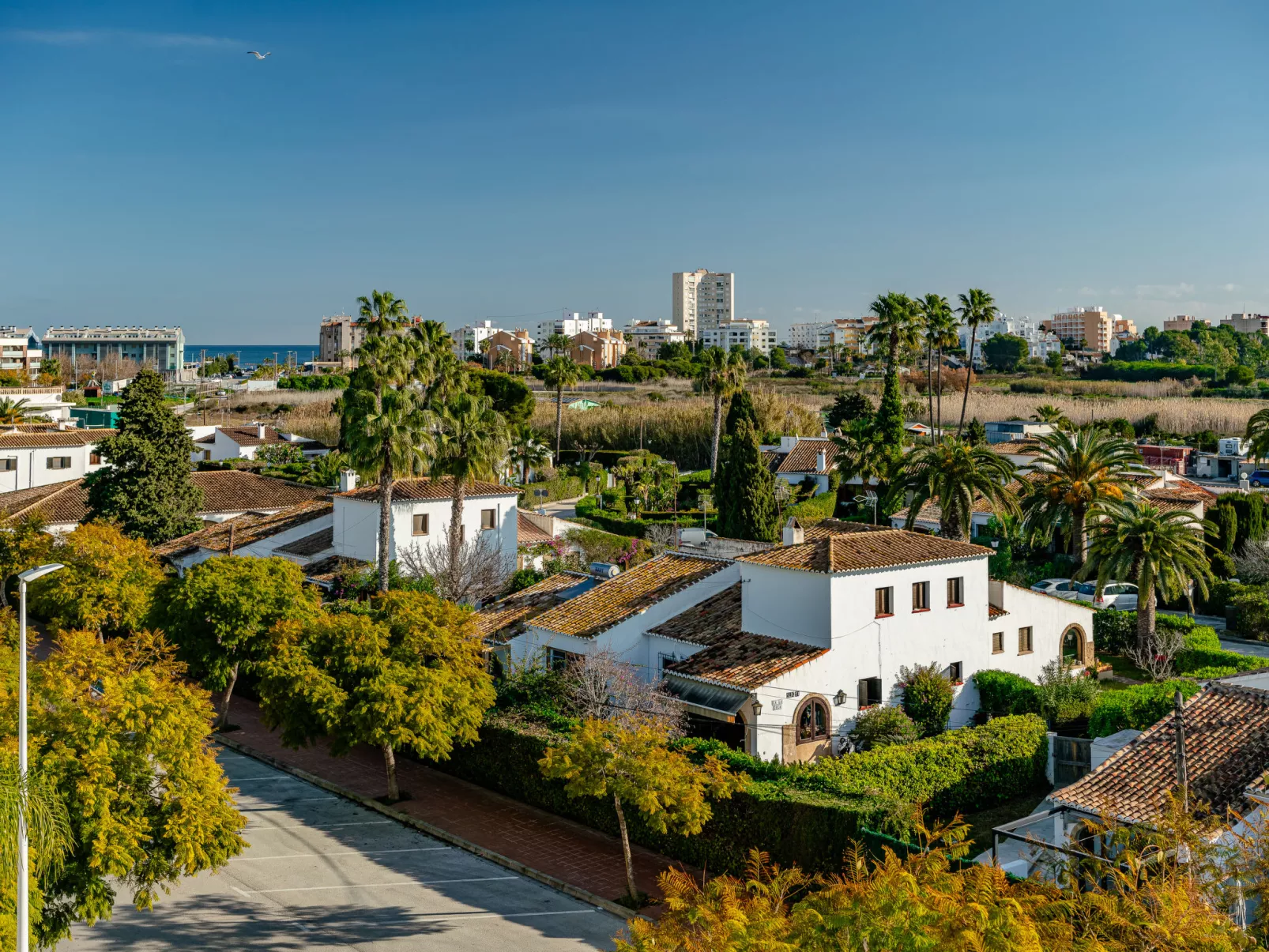 Arenal Boutique Suite-Outside