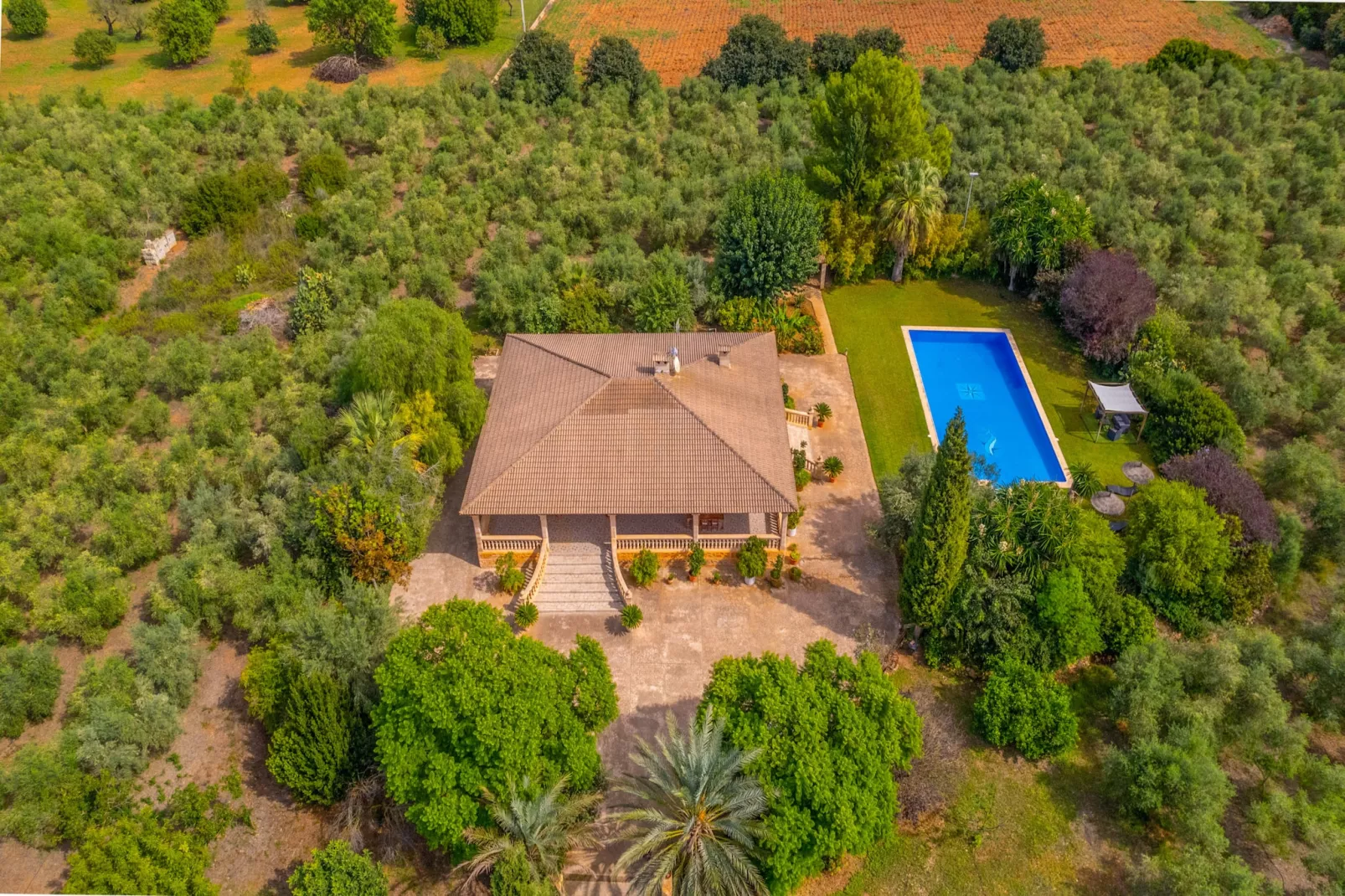 Dofi Blau, Villa 5StarsHome Mallorca-Outdoor