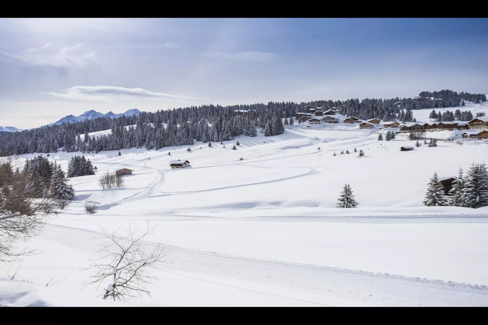 SAISIES_S8L-Gebiet Winter 5 km