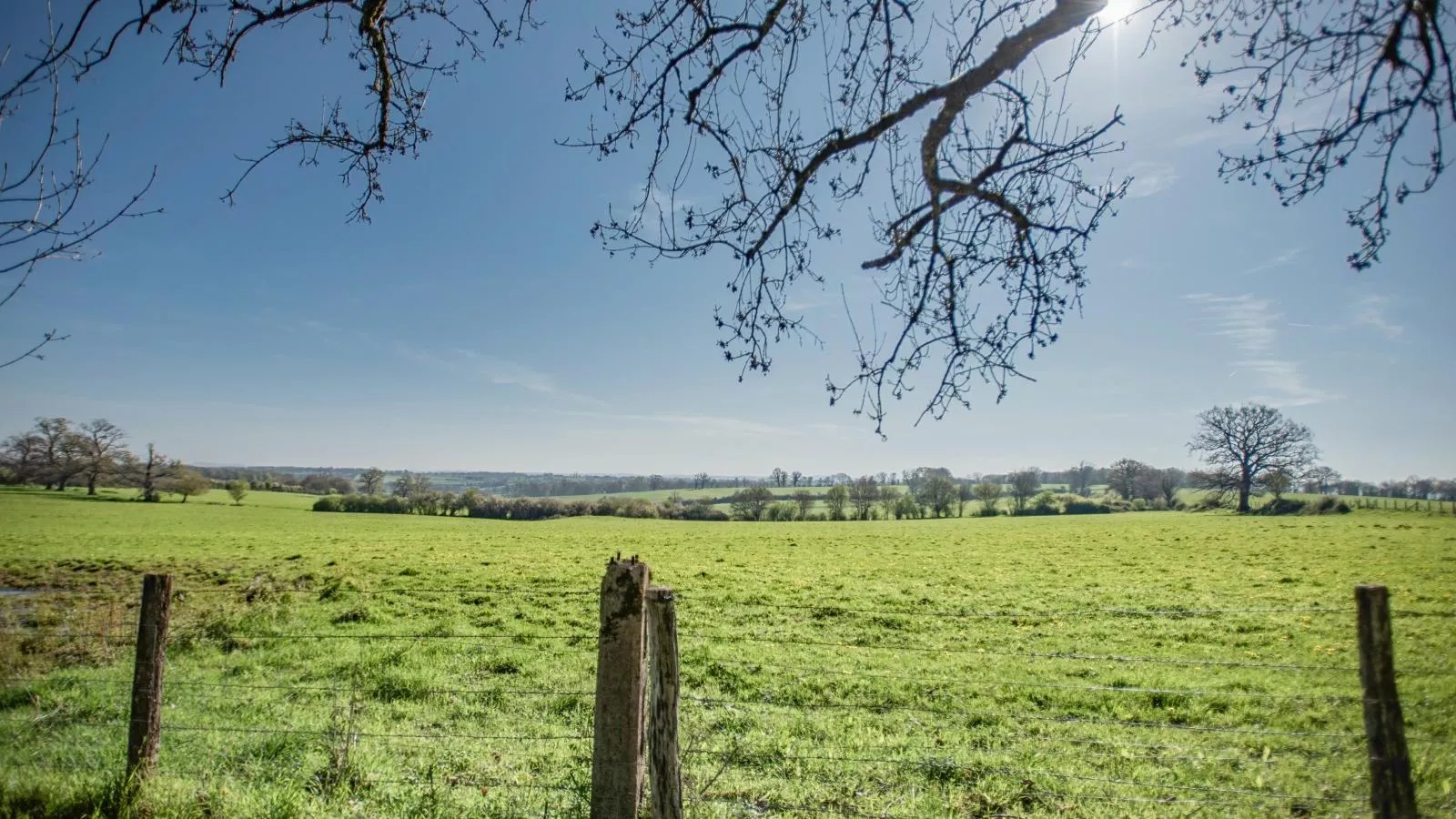 Savigny-Aussicht Sommer