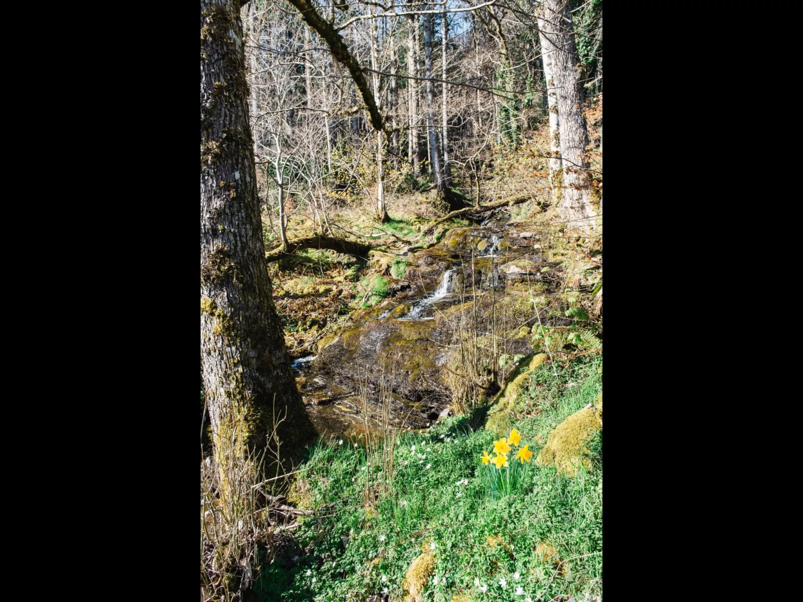 Farmburn Bothy-Outside