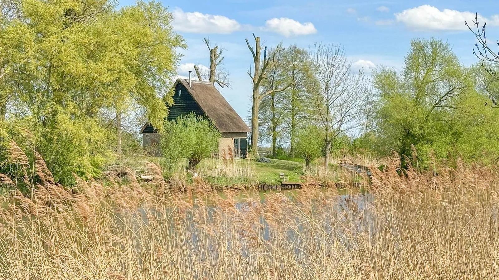 Biesboschhuisje-Extérieur été