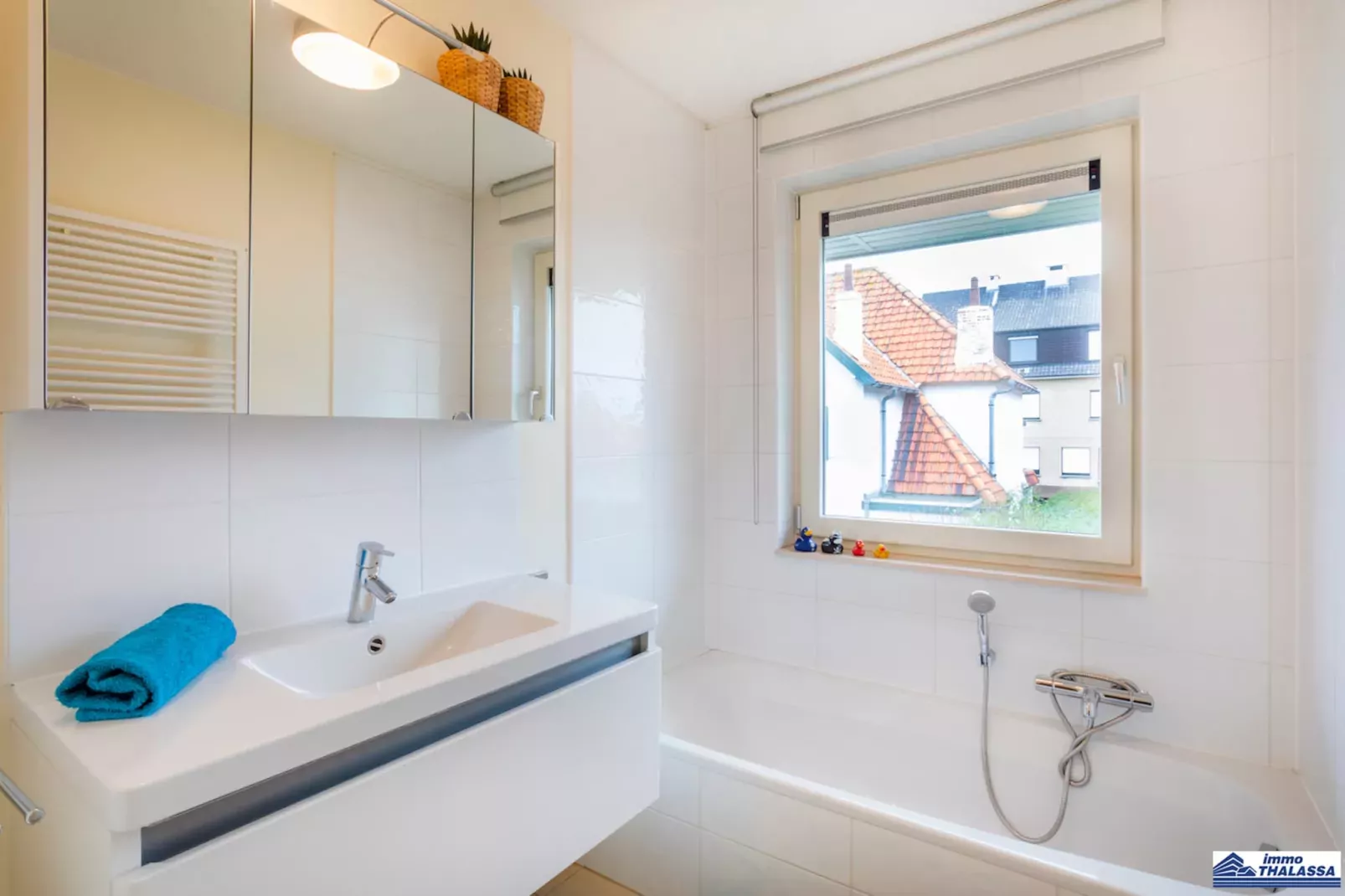 Amena 0101 + garage 14-Salle de bain