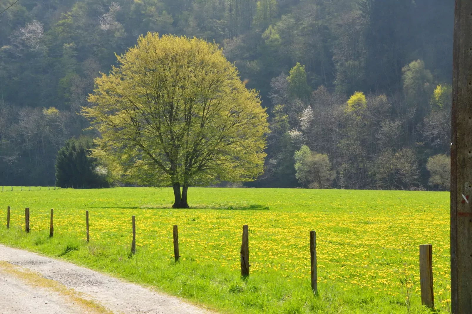 Le Simplement 2-Areas summer 20km