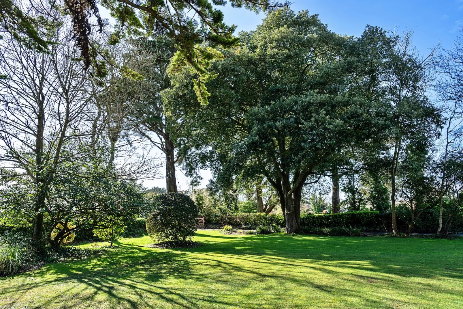 Sunny Nook-Gardens summer