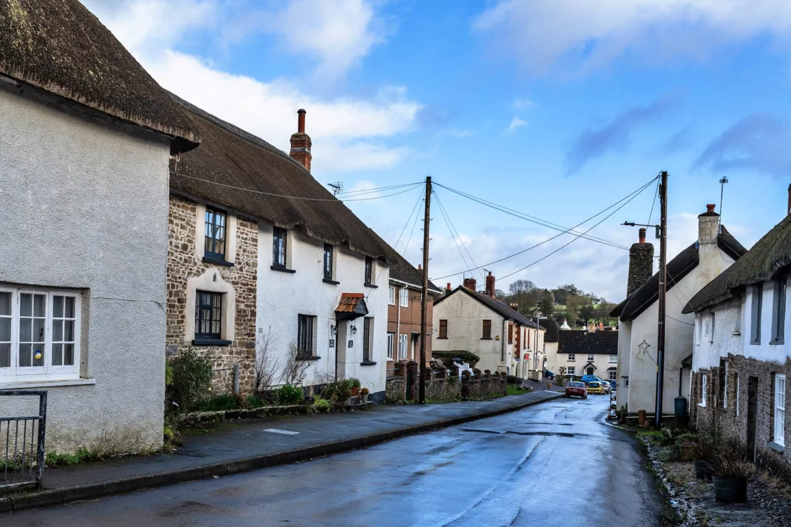 Hope Thatch-Extérieur