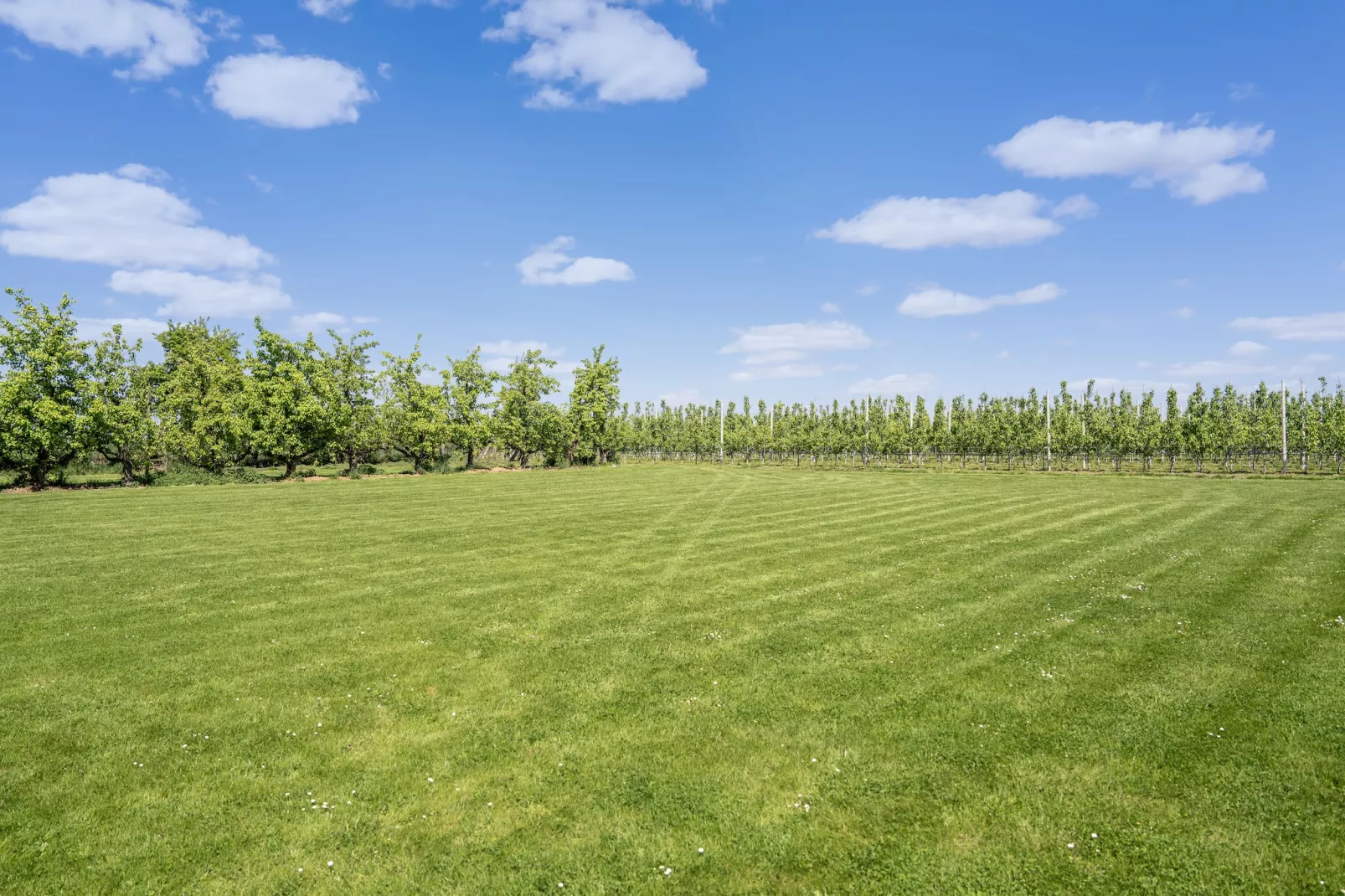 Villa Blickenberg-Zones d'été à 1 km