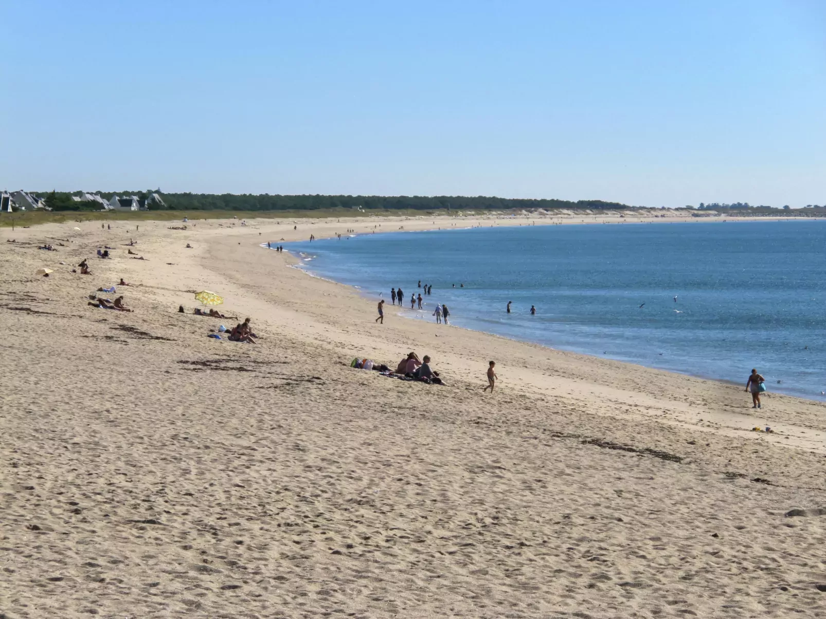 Plage, port et commerces à 2 pas-Area