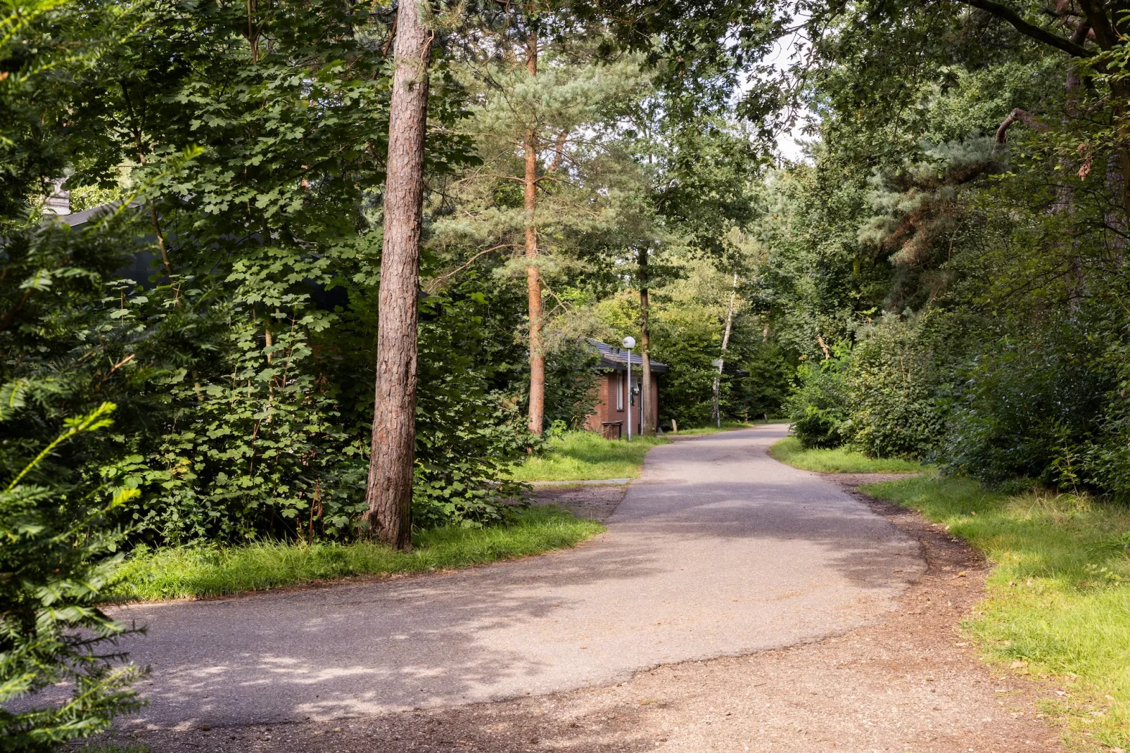 Parc Heihaas 8-Areas summer 1km