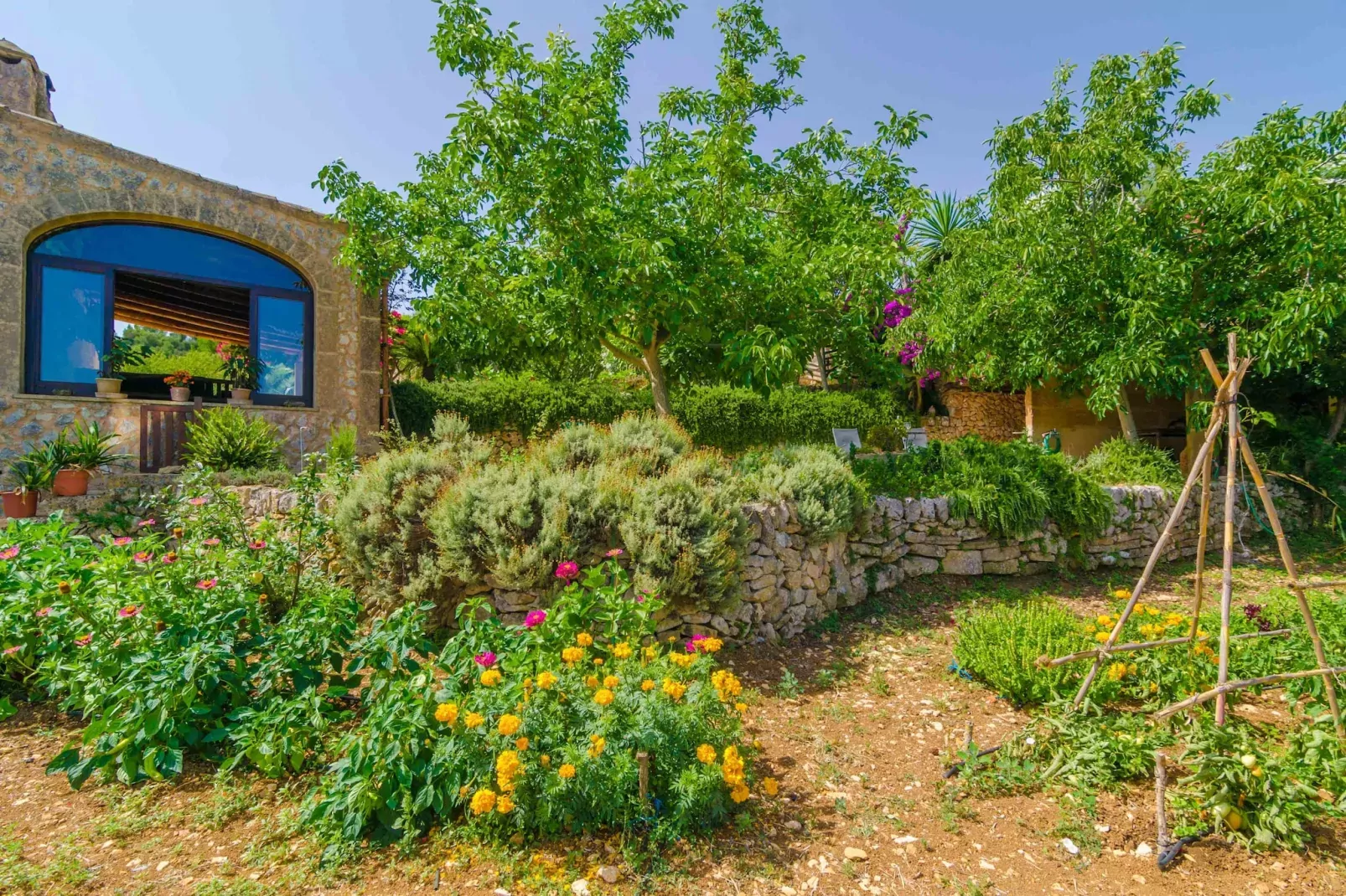 Ses Pedres - Garten Sommer