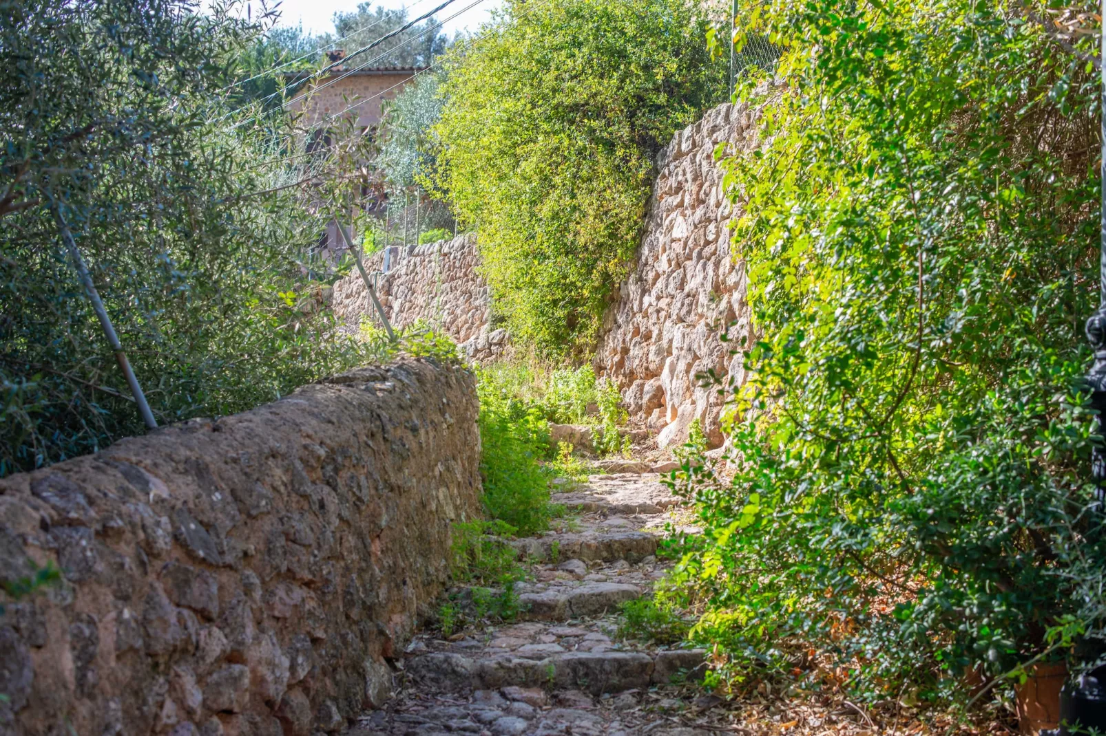 Sa Teulera (fornalutx)-Areas summer 1km