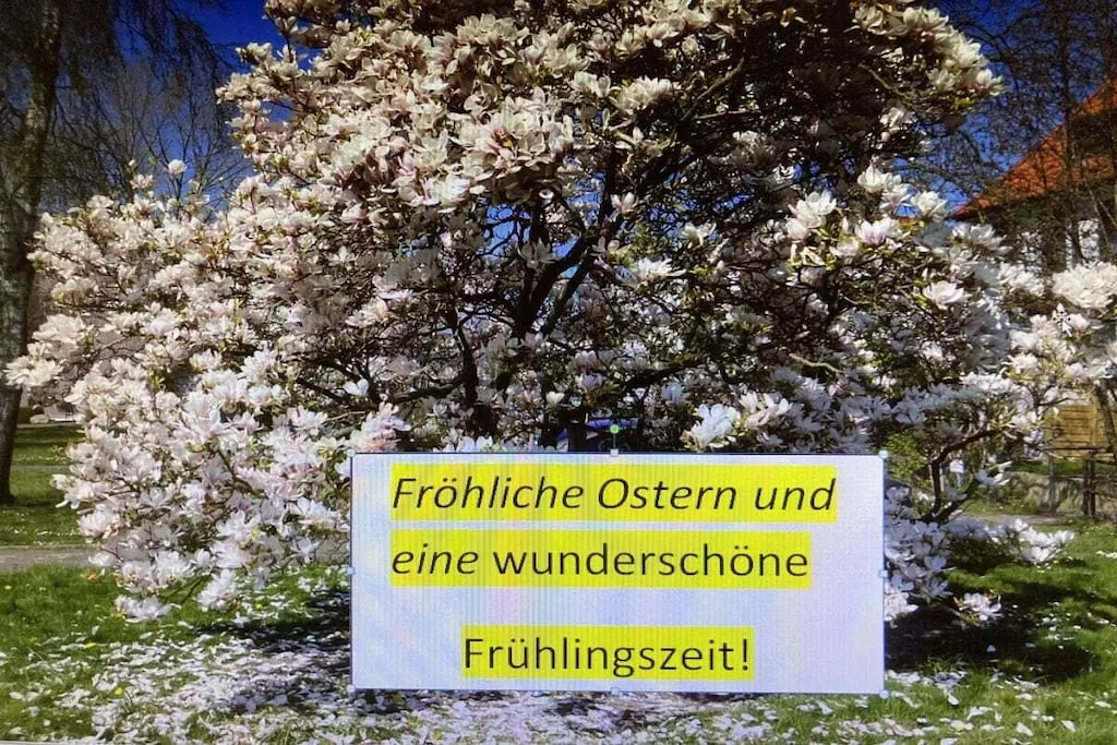 508366-Nicht getaggt