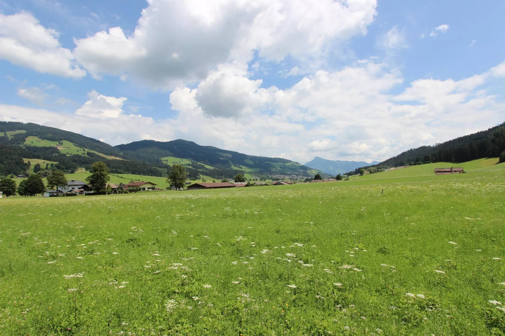 Mountain Retreat B-Areas summer 1km