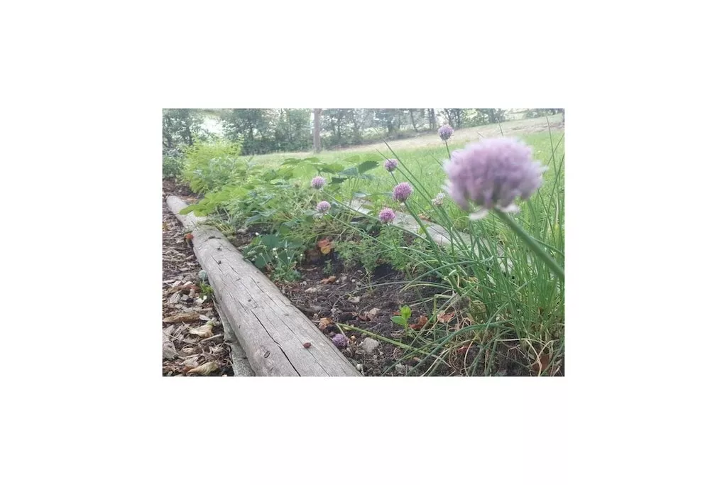 362482-Nicht getaggt