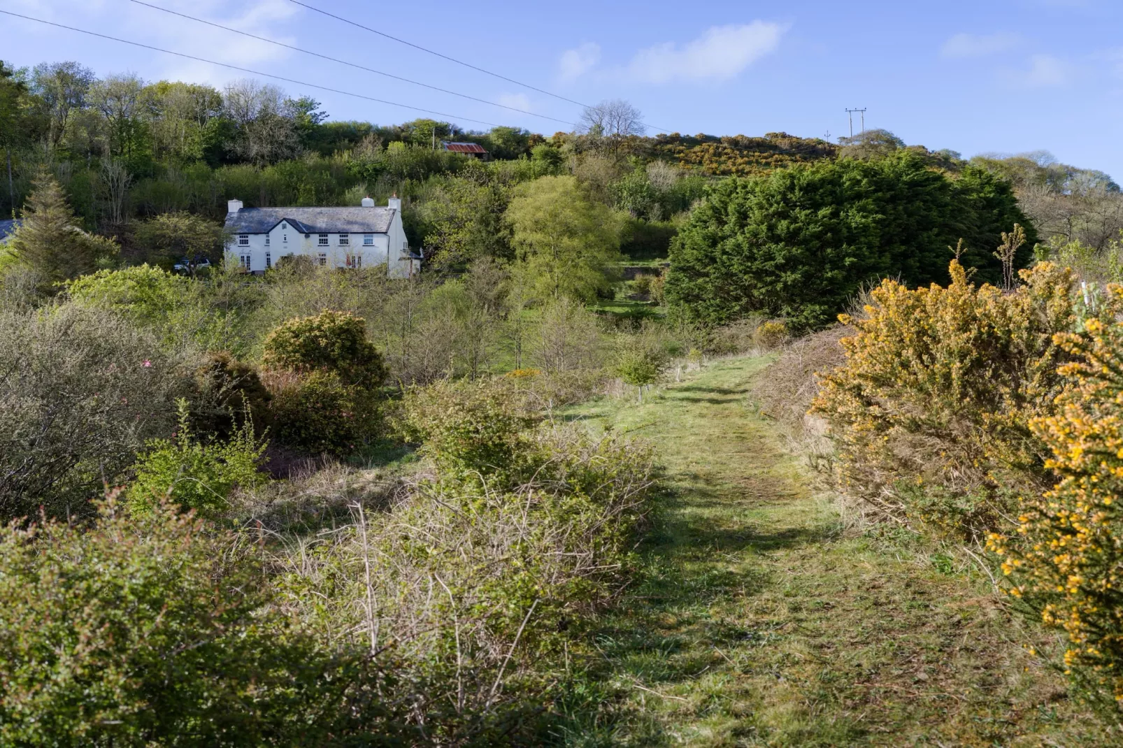 Lower Aylescott Farmhouse-Outdoor