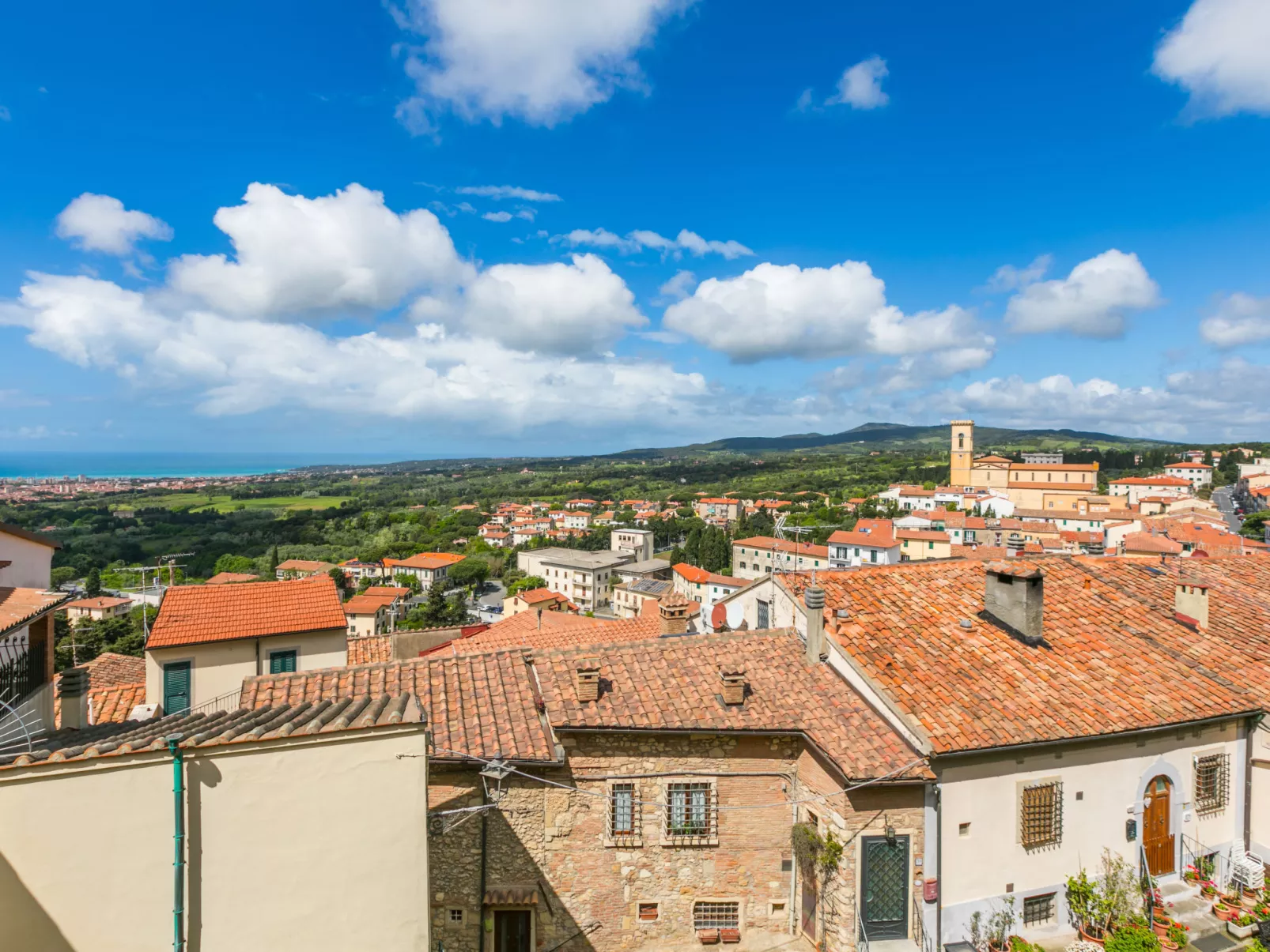 Rosmarina-Dehors