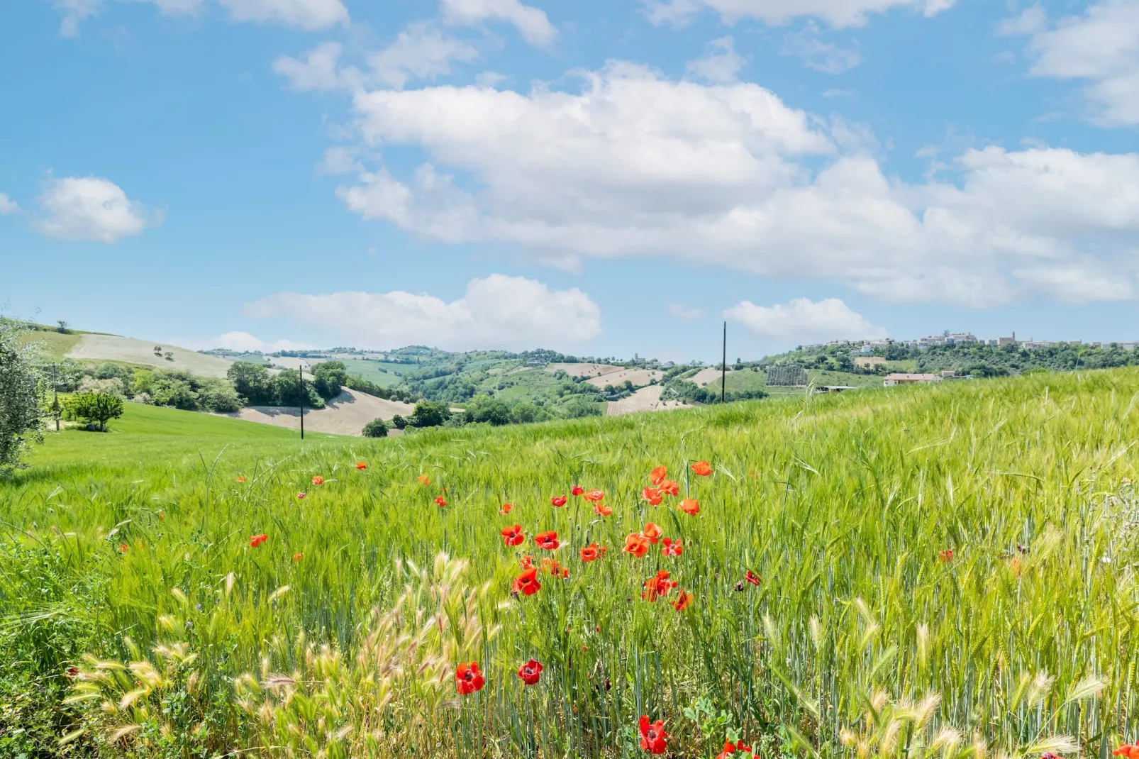 Casa Del Nonno-Areas summer 5km