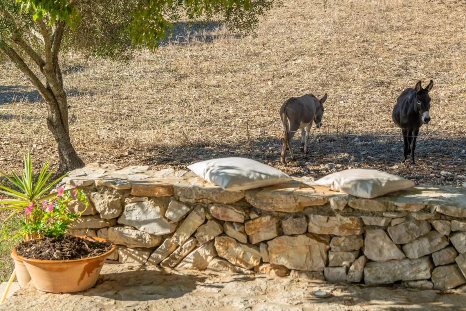 Son EsquerrÀ-Zones d'été à 5 km