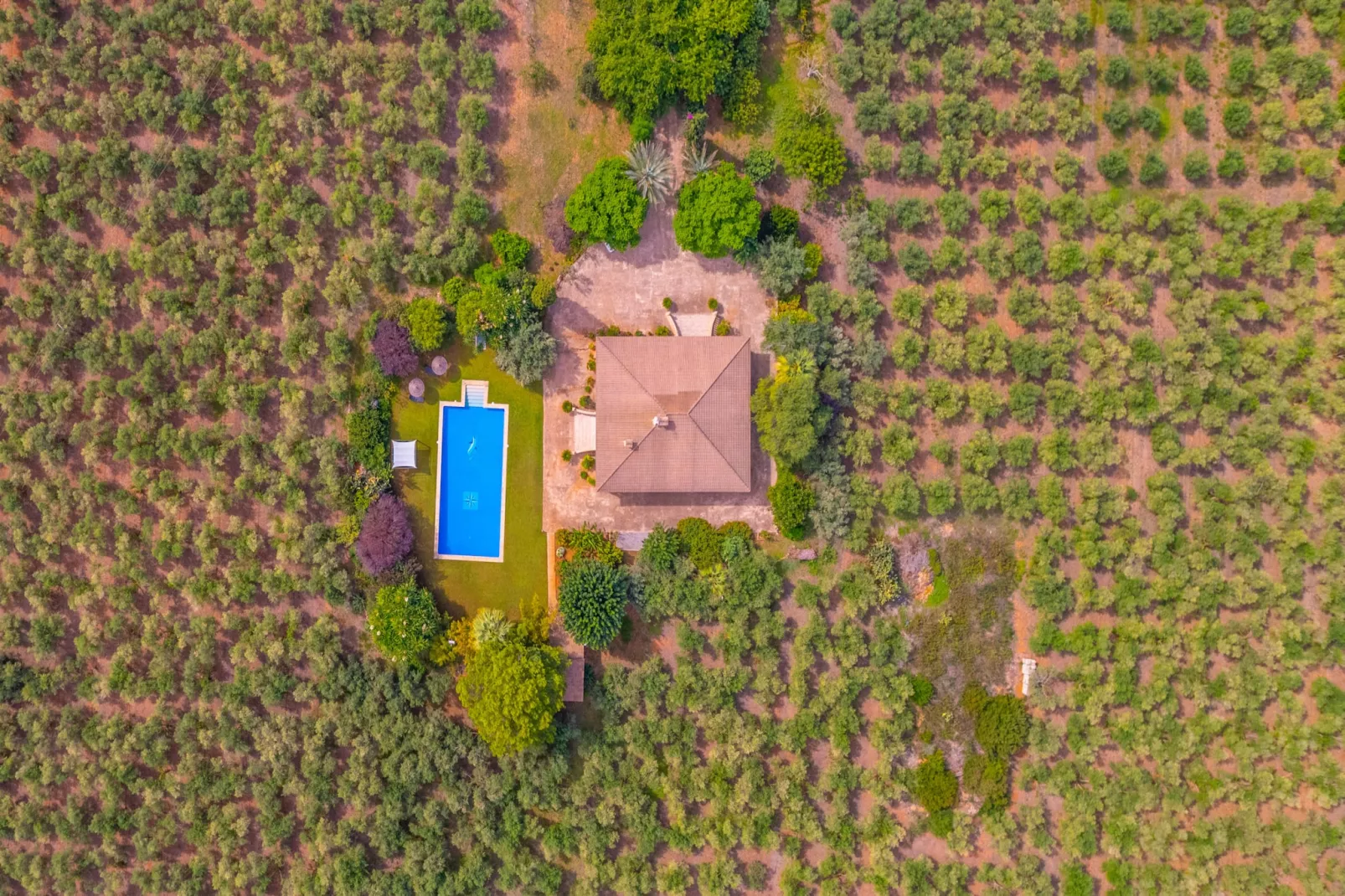 Dofi Blau, Villa 5StarsHome Mallorca-Outdoor