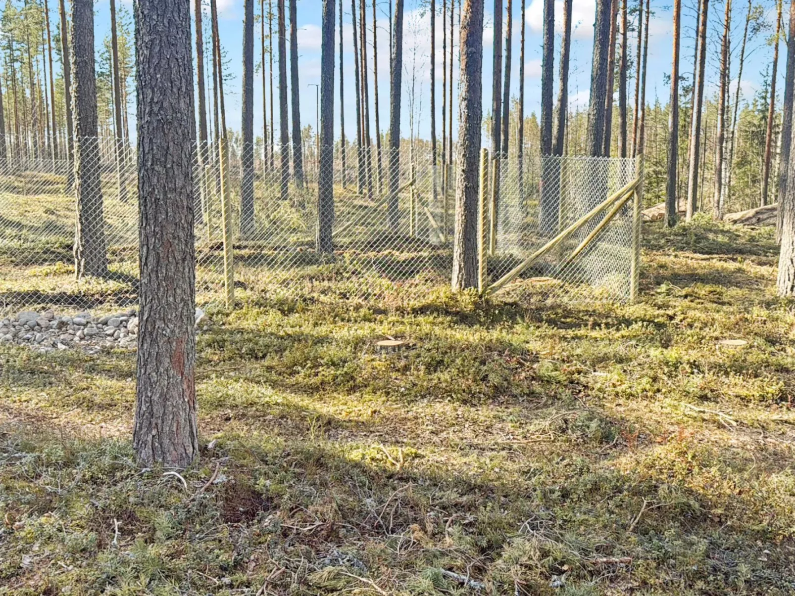 Kukkalahti-Drinnen