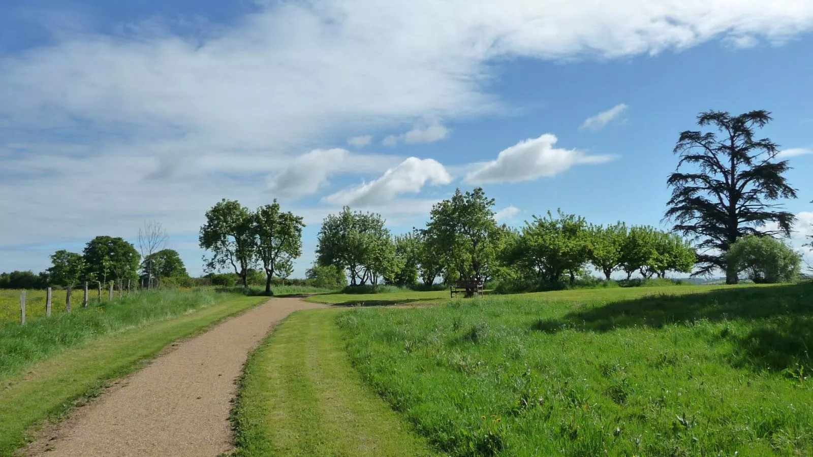 Savigny-Gebiete Sommer 1 km