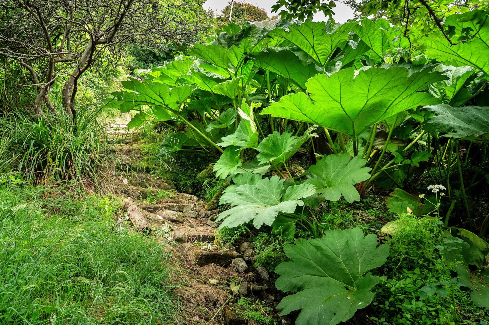 Tregatreath-Outdoor